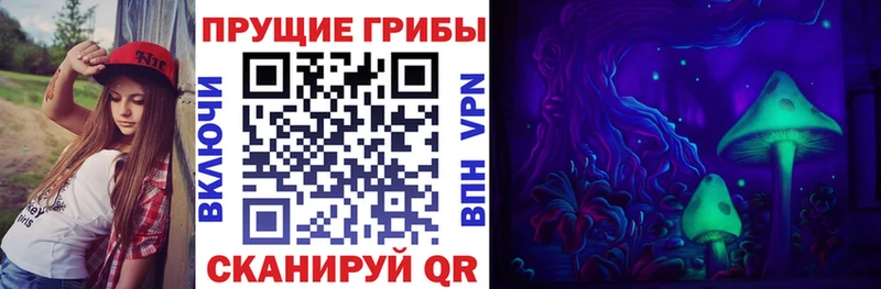 Псилоцибиновые грибы прущие грибы  хочу   Мирный 